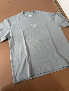 THE NORTH FACE Tシャツ XL グレー