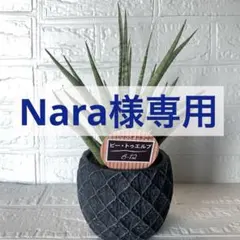 Nara様専用　リクエスト 2点 まとめ商品