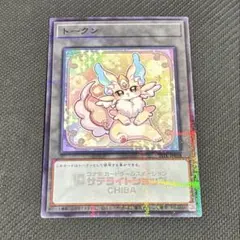 遊戯王　六花　トークン 札幌サテライトショップ限定トークン キャンペーン開催中👏 ／ ˗ˏˋ サテライトショップ限定 特製トークン