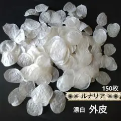 Fluffy様 リクエスト 2点 まとめ商品