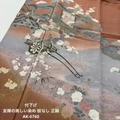 付下げ 裄65 友禅の美しい染め 紋なし 正絹 AK-6760