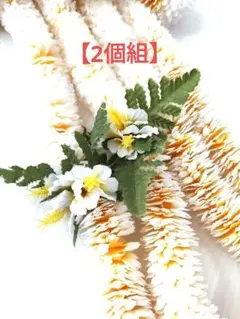 イリマロングレイ2組