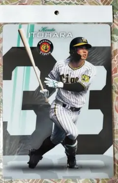 2025年最新】糸原33の人気アイテム - メルカリ