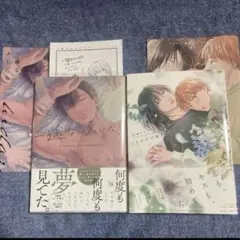 BL 新刊 コミック 一途なふしだら/うたかたの庭 特典