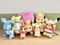 ポケモンセンター限定　ぬいぐるみ　まとめ売り　　ピカチュウ　pokemon