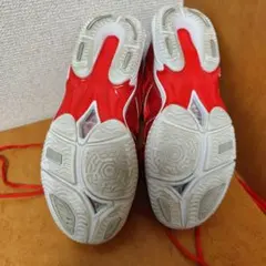 MIZUNO　Wave　Diverse　LG3