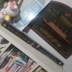 Item thumbnail for item bdfcec0f-41e0-4ac4-b45d-d0608af52a57