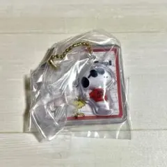 ★ PEANUTS SNOOPY パッケージチャーム ジョークール