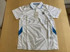 Item thumbnail for item 974e67ee-7a1c-442e-a875-f01d5eb34e9c