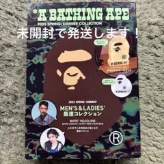2026年最新】A BATHING APE 美術品・アンティーク・コレクションの人気