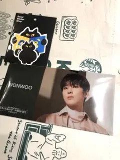 SEVENTEEN チケットホルダー　ウォヌ WONWOO ステッカー　希少