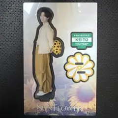 FANTASTICS 木村慧人 アクリルスタンド アクスタ - メルカリ