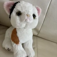 Sunlemon サンレモン since 1984 ぬいぐるみ　ねこ