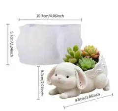 Item thumbnail for item 7e5e9b29-ffe3-4136-99ea-2fa401eb2255