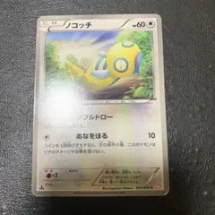 ノコッチ C BW6 コールドフレア 043/059