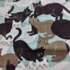 綿生地　リネンライクスラブ 猫　ごろにゃん　ミント SEVENBERRY