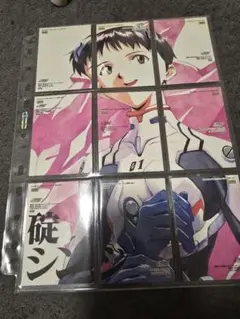 新世紀エヴァンゲリオン トレーディングカード 9枚セット