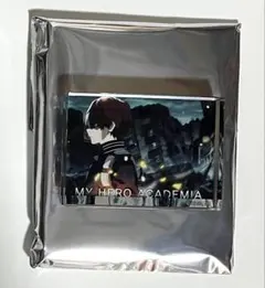 ヒロアカ　轟焦凍　アクリルブロック