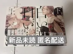 白い朝に 森世 上巻 下巻 セット 全巻 BL 商業 漫画
