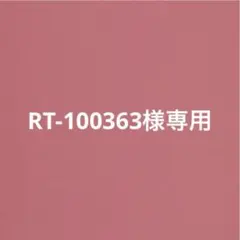 RT-100363様専用