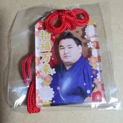 Item thumbnail for item 1306f104-2456-4c9d-bbf7-b59ea558d845