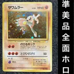 ss 旧裏全ホロ61枚 あなたの知らない全面ホロの世界｜せとうちレモン