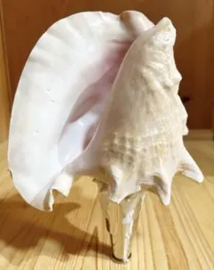 Item thumbnail for item 1cd8ac1b-623c-4848-bf6b-1181e177fec3