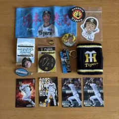 近本光司　阪神タイガース バラエティグッズセット ⭐︎新品未使用品がほぼ⭐︎