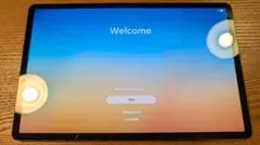SAMSUNG Galaxy Tab S8+ 5G SM-X806B 256GB