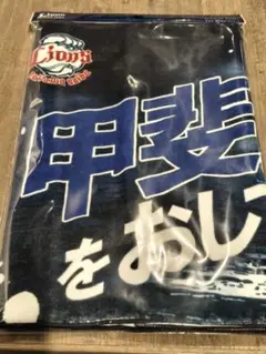 埼玉西武ライオンズ オレの背中をおしてくれ！ フェイスタオル 甲斐野央
