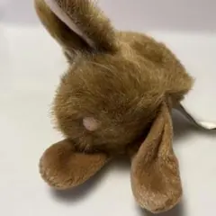 プレイアロング、うさぎ