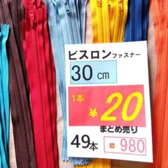 30cmビスロンファスナー49本セット