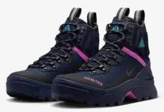NIKEナイキACG エアズームガイアドーム GORE-TEX GTX 23.5