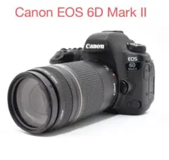 Canon EOS 6D Mark II/EF35-135㎜/EF75-300㎜ - メルカリ