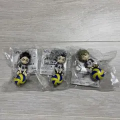 ハイキュー‼︎ プチっとのりマスvol.4 木兎光太郎 赤葦京治 木葉　全3種