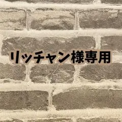 リッチャン様専用　DOME銀テープ1本