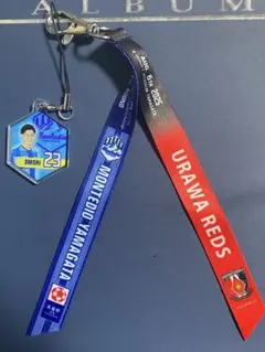 【激レア、非売品】サッカー天皇杯ピンバッジ　10個 激レア、非売品】サッカー天皇杯ピンバッジ 10個 激レア、非売品