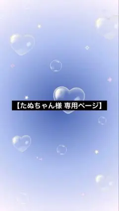 【たぬちゃん様 専用ページ】4点おまとめ