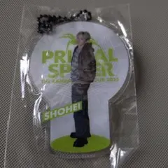 ランページ　浦川翔平　PRIMAL SPIDER クリアチャーム