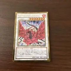 遊戯王 ブラックローズドラゴン 絵違い 25th クオシク - メルカリ