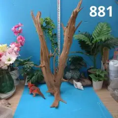 883ホーンウッド灰汁抜き硬質天然流木 約52cm 枝状 インテリア装飾