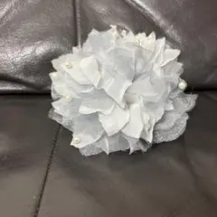 Item thumbnail for item 5dad3cca-d0a5-463d-a9da-433e2e74c09a