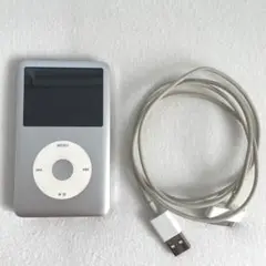 【動作確認済み】ipod 160GB シルバー Apple