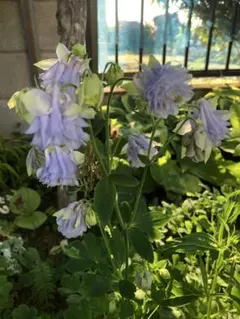 ミヨヨ様 リクエスト 2点 まとめ商品