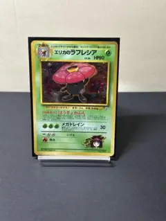 旧裏★エリカのラフレシアのサムネイル