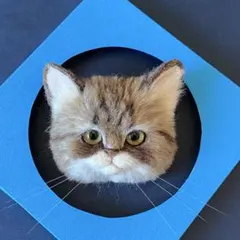 Item thumbnail for item 7f6e86c3-5aad-456c-83f9-08cebbc03b08