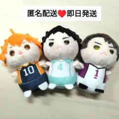 ハイキュー もちもちマスコットたっちvol.1 日向翔陽 牛島若利 岩泉一