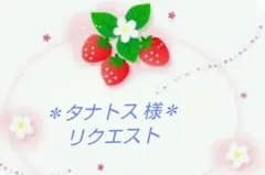タナトス様 リクエスト 2点 おまとめ商品