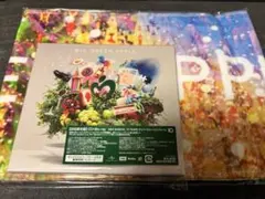 Mrs. GREEN APPLE MGA MAGICAL 10 YEARS