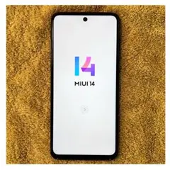 Item thumbnail for item eadcb225-9ddc-40cb-a27b-615d1d36af0c